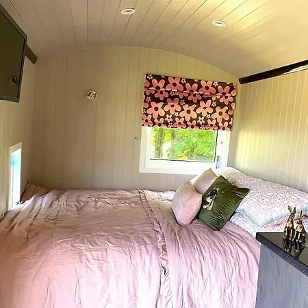 豪华帐篷 The Rookery